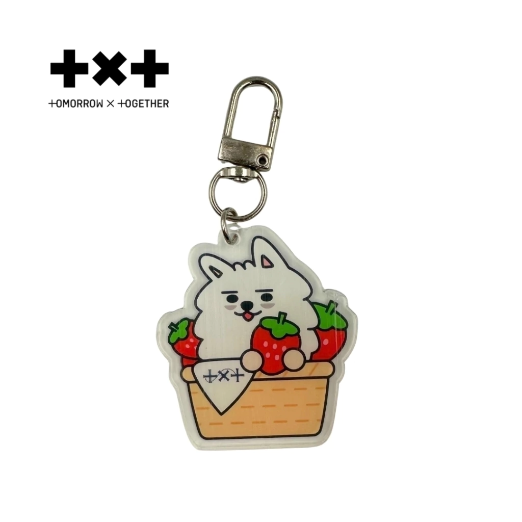 TXT PPULBATU Llavero de Acrílico Fanmade Canastas - Image 6