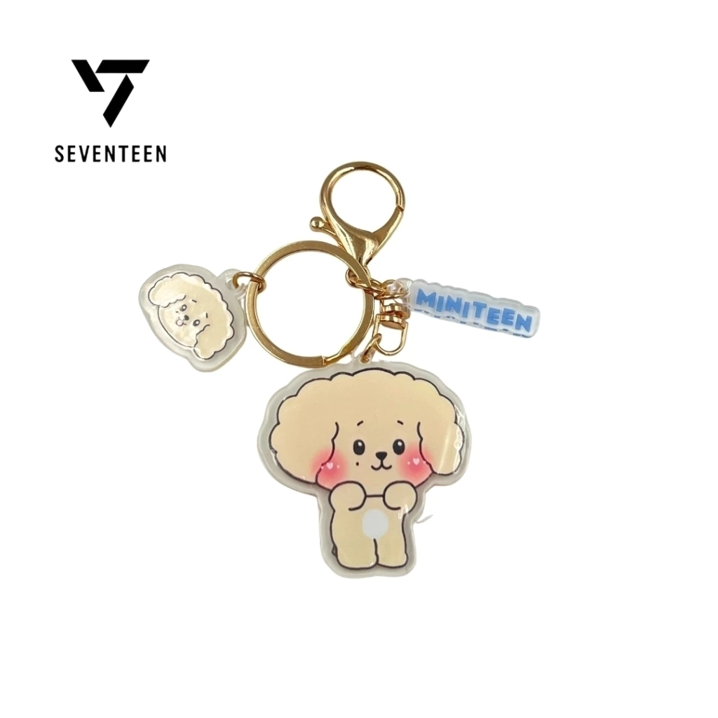 Seventeen Miniteen Llavero de Acrílico Fanmade - Image 8